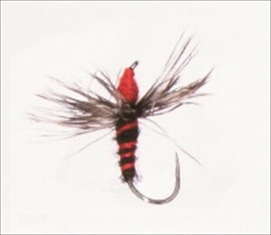 FV PALS pX d| CgtCeJ2 t BL-B #12