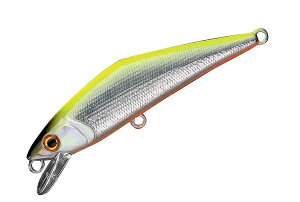 X~X@D-R^Ng 50 `[g 20