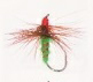 FV d| CgtCeJ2  BL-G #12