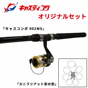 LXeBOIWi CASCOMBO LXR{ DX 902MS JjAbgZbg