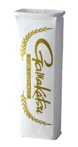 ܂ pi GM2521 ܂aۗ zCg