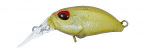 @PC gEgvO N[KFMR SS 䂸r