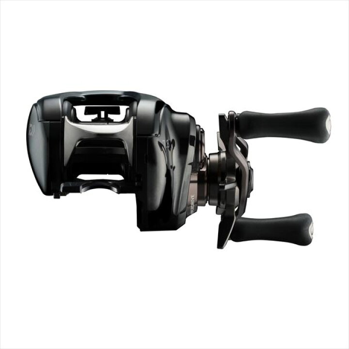 楽天市場】ダイワ ベイトリール 24スティーズ SV TW 100L(左) : 釣具の 