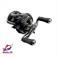 ダイワ ベイトリール 24スティーズ SV TW 100HL(左)