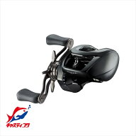 ダイワ ベイトリール 24スティーズ SV TW 100XH(右)