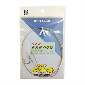 yX[p[Z[X |CgobNőP10{+ΏۏiP10{zC^[tbN j tJZLn_}O 162.0m GK15SV