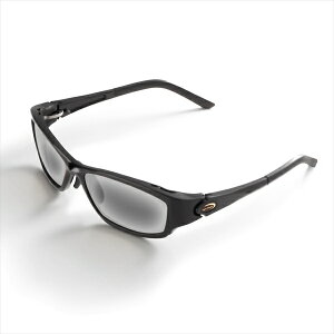 eBR TCg}X^[ ΌOX EeBvX}bgubN LG/Vo[~[(SWR)