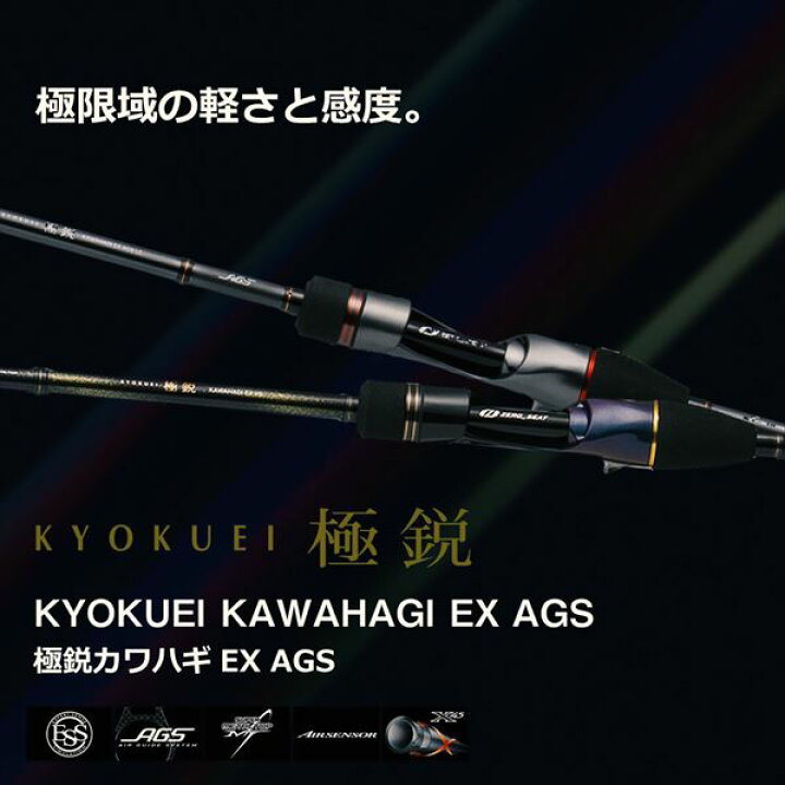 楽天市場】ダイワ カワハギ竿 極鋭カワハギEX VS(1ピース) : 釣具の 