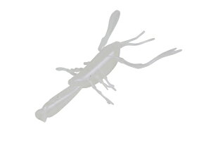 fBX^C [ Gr\}~[(EBISON MOMMY) ArmVv(Albino Shrimp)