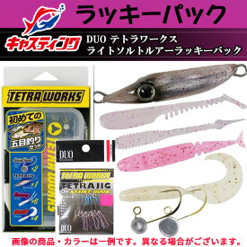 【スーパーSALE限定P10倍+買い回りで最大5000P】釣具のキャスティングオンラインストア DUO テトラワークス ライトソルトルアーラッキーパック