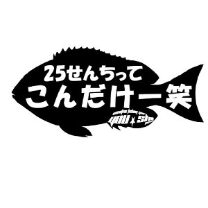 YOU−SHI ステッカーT9(25cmコンダケ 25×13CM)