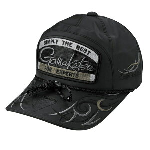 ܂ Xq GM9112 tBbVOLbv(by) ubN/ubN LL