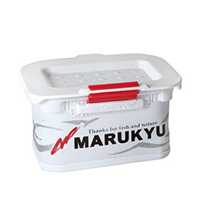 }L[ a tBbVOMA p[GToPbg11TRIV zCg