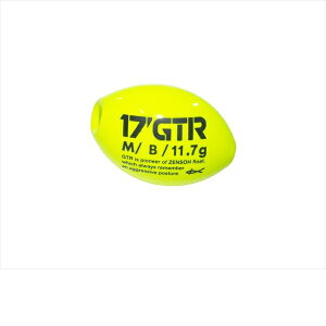 �L�U�N�� �E�L 17 Kz GTR M B �C�G���[