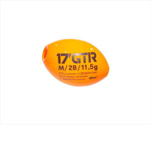 �L�U�N�� �E�L 17 Kz GTR M 2B �I�����W