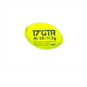 �L�U�N�� �E�L 17 Kz GTR M 2B �C�G���[