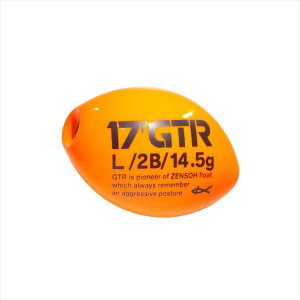 �L�U�N�� �E�L 17 Kz GTR L 2B �I�����W