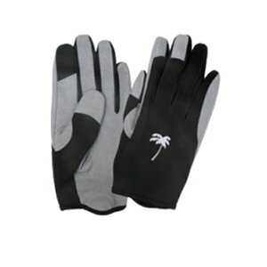 p[X  NCbNtBbgCgO[u XLTCY ubN