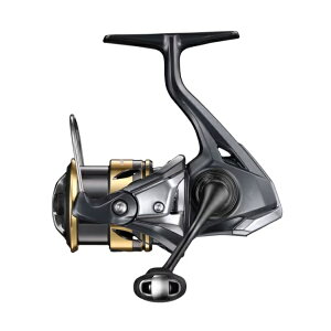 yX[p[Z[X |CgobNőP10{+ΏۏiP10{zV}m XsjO[ 25AeO C2000SHG