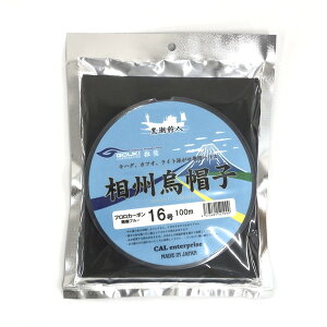 SEL nX BGXq(tJ[{) 16