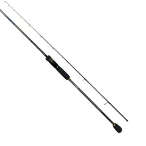 FV ItVAbh ubNWK[ C BJOS-607M (XsjO/2s[X)