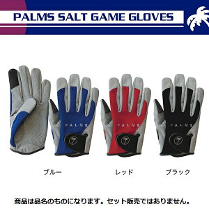 p[XiPALMSj@p[X\gQ[O[u M u[