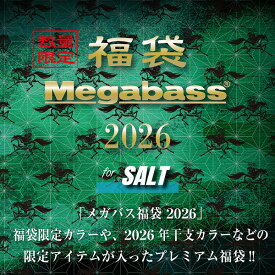 【スーパーSALE限定P10倍+買い回りで最大5000P】メガバス 2026年福袋 SALT SET