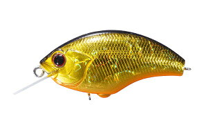 ylR|XΏەizOSP BLITZ (ubc)H04 IWx[