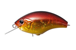 ylR|XΏەizOSP@BLITZ@iubcjSH48@S[ht@C[