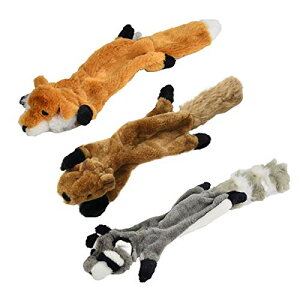 yz3_Zbg ቹo ފߋpo ʂݐ C^NeBug[jO ʂ ϋv