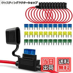 �y���������zGTIWUNG �q���[�Y�z���_�[ 12AWG 10�� ���ϋv �C�����C�� ATC/ATO ���^ �~�j���^ ��w �h���h�o 32V 30A �����ԗp�i�~�j���^�q���[�Y�p�j 30�u���[�h�q���[�Y