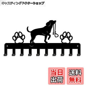 yzSUPERDANT ƑՃvgL[tbN Ǌ|tbN StbN ǎtR[gbN EH[nK[ }`tbN lWttbN 7tbN z_[ ǖʎ[ 