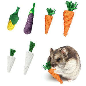 yzYFFSFDC ނ ybgp 6 nX^[ `` ETM   ^s VRf ybgpi VR XgX 卪̂