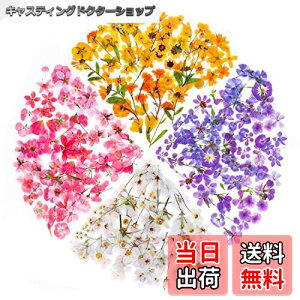 yzYOVOY 164 R[W f V[ ԃV[Zbg t[NV[ XebJ[ e    A 蒠fރXebJ[ KXrƉ