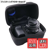 楽天市場】α6600 ケースの通販