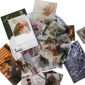 yzAlideco V[ t[NV[ | Be[WCXebJ[ i | XPW[ 蒠 Ao fR 莆 J_[ / 110Zbg