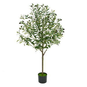 yzSAGVEiTQrj ϗtA tFCNO[ 150cm lHϗtA  ^G} C   Lb` ItBX A A  I[u