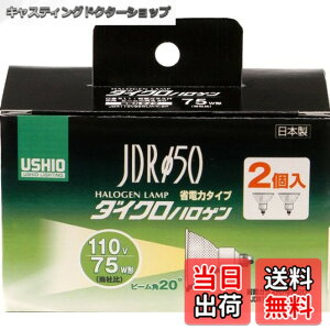 �y���������zELPA �_�C�N���n���Q�� 75W�` E11 ���p 2�� G-168NH-2P (JDR110V65WLM/K-2P)