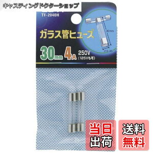 yzGp (ELPA) KXǃq[Y z q[Y 250V/4A 30mm 6.35 2 TF-2040H