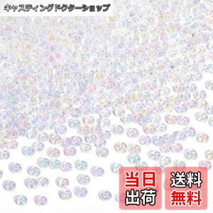 yzPandaHall 6000/ 2mma 11/0 V[hr[Y ۏr[Y ʂ Eh KXr[Y ANZT[Lbg |pi Ntgpi f ޗ F