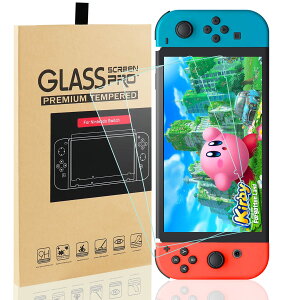 yzMAEXUS Switch p یtB Switch 2 KXtB  KX ʕیtB 9Hdx ߗ CAȂ ʕی Ռz XNb`h~