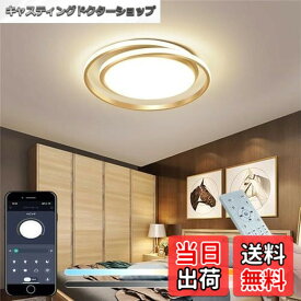 【送料無料】KOVOL 315LED シーリングライト