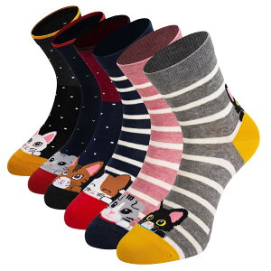 yz[Empino] C fB[X Rbg \bNX LN^[ ʕ K ʋC Xj[J[\bNX 21]25cm