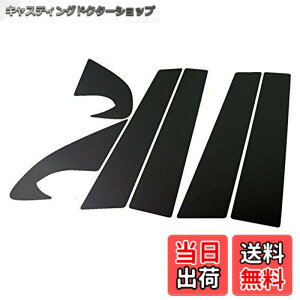 �y���������zBRIGHTZ �f���A���X J10 �����ʃu���b�N���b�L�s���[�p�l���J�o�[ 6PC �o�C�U�[�����p �y PIL-BLA-249 �z 5107