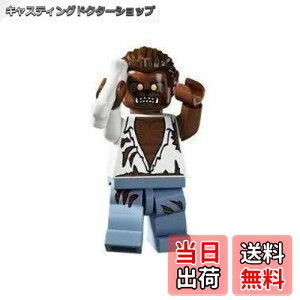 yzS(LEGO) ~jtBMA V[Y4 Tj (Minifigure Series4) 8804-12