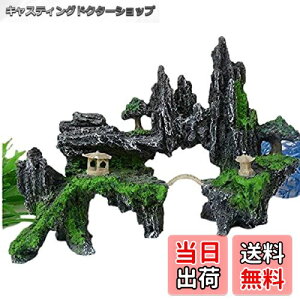 yzANZT[ ANAE Όi prI bN VF^[