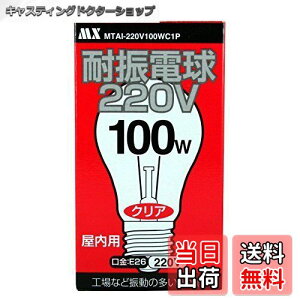 yz}NT[d@ [220Vp] ϐUd 220V 100W^Cv NA Ȗꏊ