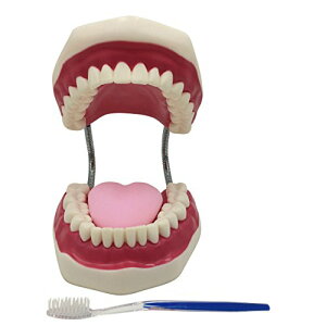 yz^͌^ ^  o ͌^ ݂͂ Kp c  w  K fXg[V uV & ۑܕt