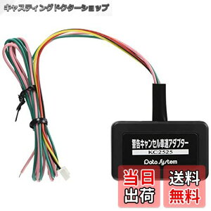 yzf[^VXe CGS252IvV xLZԑA_v^[ KC2525 Datasystem