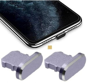 �y���������zWave Design�y ���� ���� �A���~�j�E�� �� �ی�L���b�v For iPhone �h�o �݊��� �z For iPad �h�o �ی� �J�o�[ �݊��� ���C�g�j���O�[�d�� �h�o �R�l�N�^ �_�X�g�v���O 2�� F.Wave �}�C�N